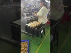 Produtor de brinquedos de design de plástico 3D de PVC