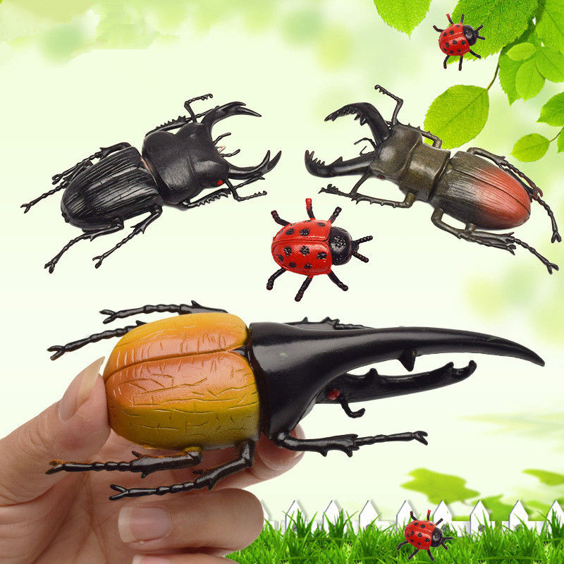 OEM fábrica personalizada Lifelike Modelo Simulação Insecto Brinquedo Jardim de infância Auxílios didáticos Joke Brinquedos