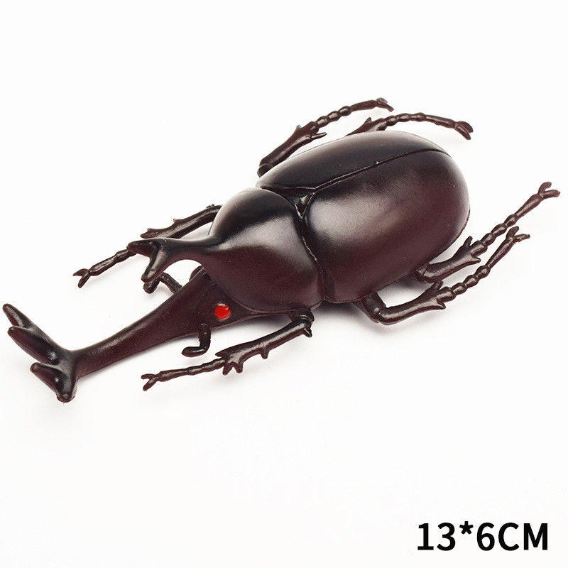 OEM fábrica personalizada Lifelike Modelo Simulação Insecto Brinquedo Jardim de infância Auxílios didáticos Joke Brinquedos