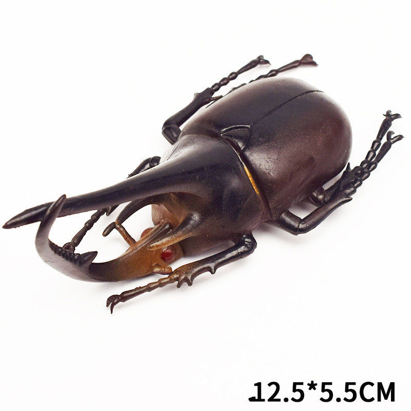 OEM fábrica personalizada Lifelike Modelo Simulação Insecto Brinquedo Jardim de infância Auxílios didáticos Joke Brinquedos