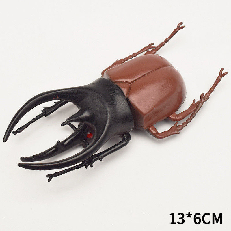 OEM fábrica personalizada Lifelike Modelo Simulação Insecto Brinquedo Jardim de infância Auxílios didáticos Joke Brinquedos