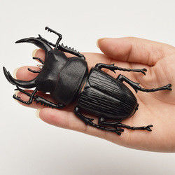 OEM fábrica personalizada Lifelike Modelo Simulação Insecto Brinquedo Jardim de infância Auxílios didáticos Joke Brinquedos