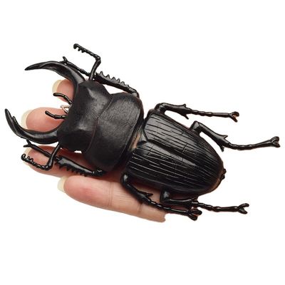 OEM fábrica personalizada Lifelike Modelo Simulação Insecto Brinquedo Jardim de infância Auxílios didáticos Joke Brinquedos